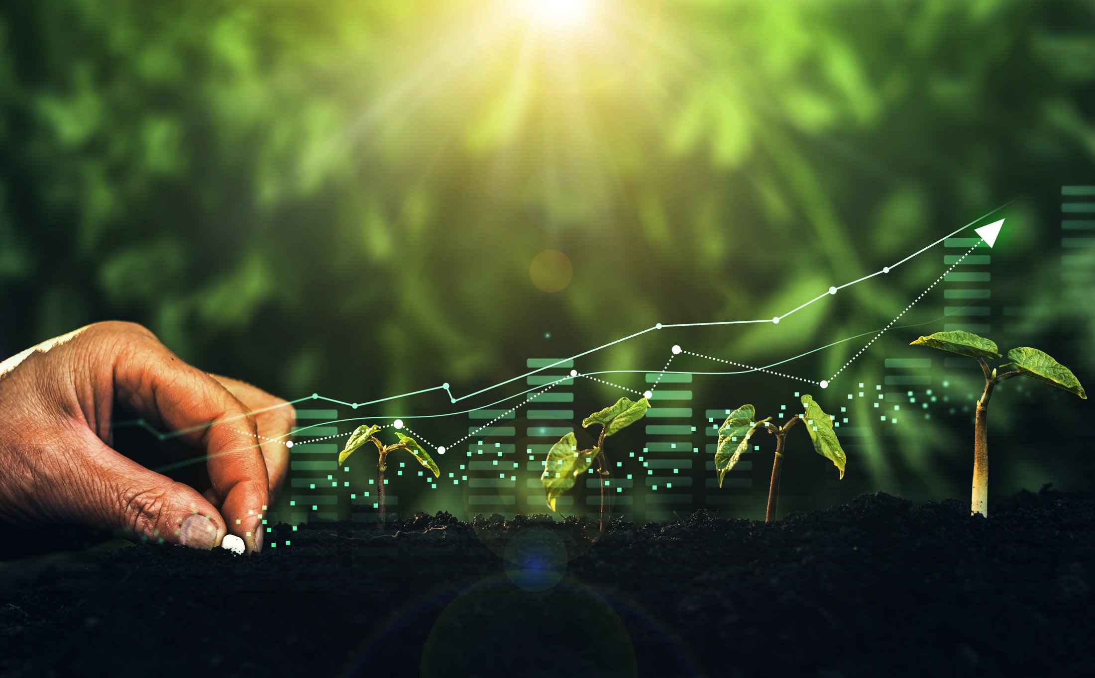 Monday&rsquo;s Moment Video&hellip; Lessons From Nature On Business Growth