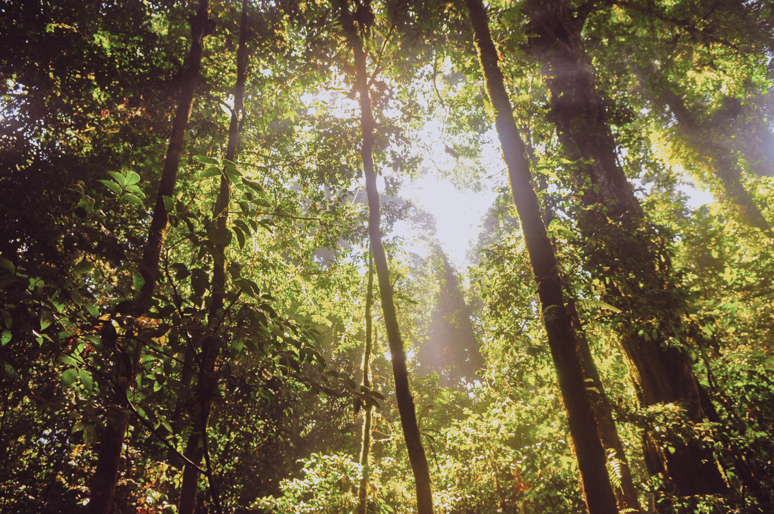 Lessons from Nature: A Business Owner&rsquo;s Guide to Growth